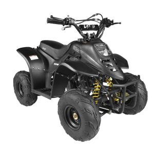 110CC Junior Quad Bike