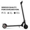 ALPHA Peak 300W 10Ah Electric Scooter, Suspension, for Adults or Teens, Black